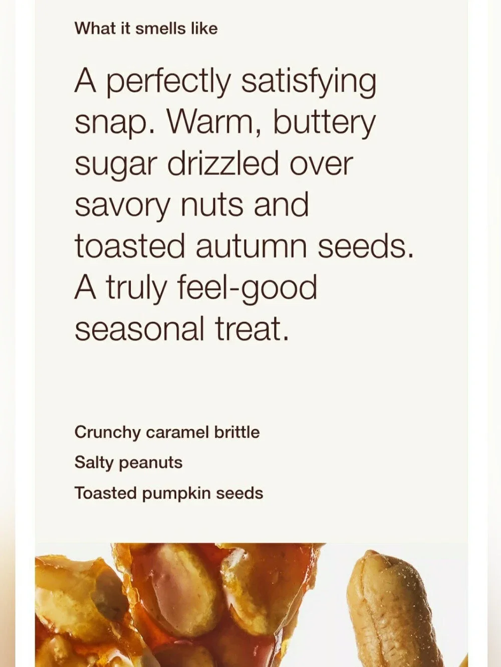 PUMPKIN PEANUT BRITTLE-Bath & Body Works Candle Wax Melts- $8 per pack